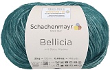 Bellicia (Schachenmayr)