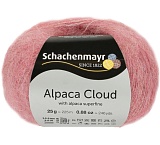 Alpaca Cloud